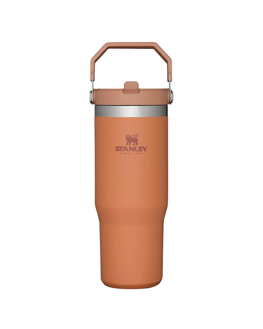 Aesthetic Ochre Stanley Tumbler with Straw | 30 OZ